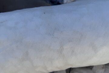 IMG_E0466